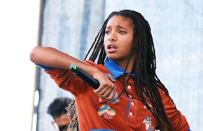 Willow Smith’s Hairstyles: See Photos of Her Hair Evolution