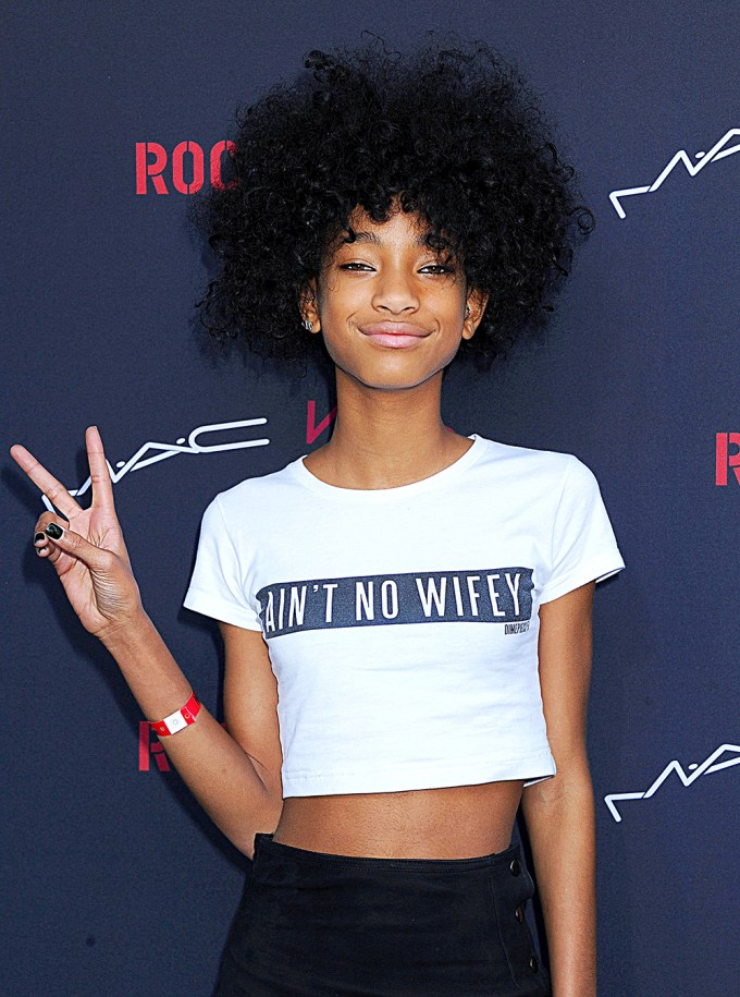 Willow Smith’s Hairstyles: See Photos of Her Hair Evolution