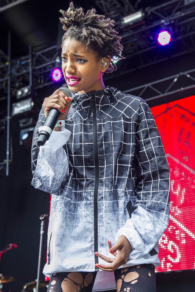 Willow Smith’s Hairstyles: See Photos of Her Hair Evolution