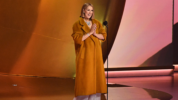 Celine Dion at Grammys 2024: Photos of Her Rare Appearance