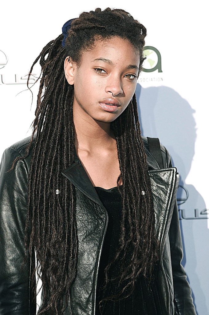 Willow Smith’s Hairstyles: See Photos of Her Hair Evolution