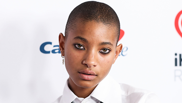 Willow Smith’s Hairstyles: See Photos of Her Hair Evolution