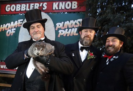 Did Groundhog See Shadow In 2023? See Phil's Prediction