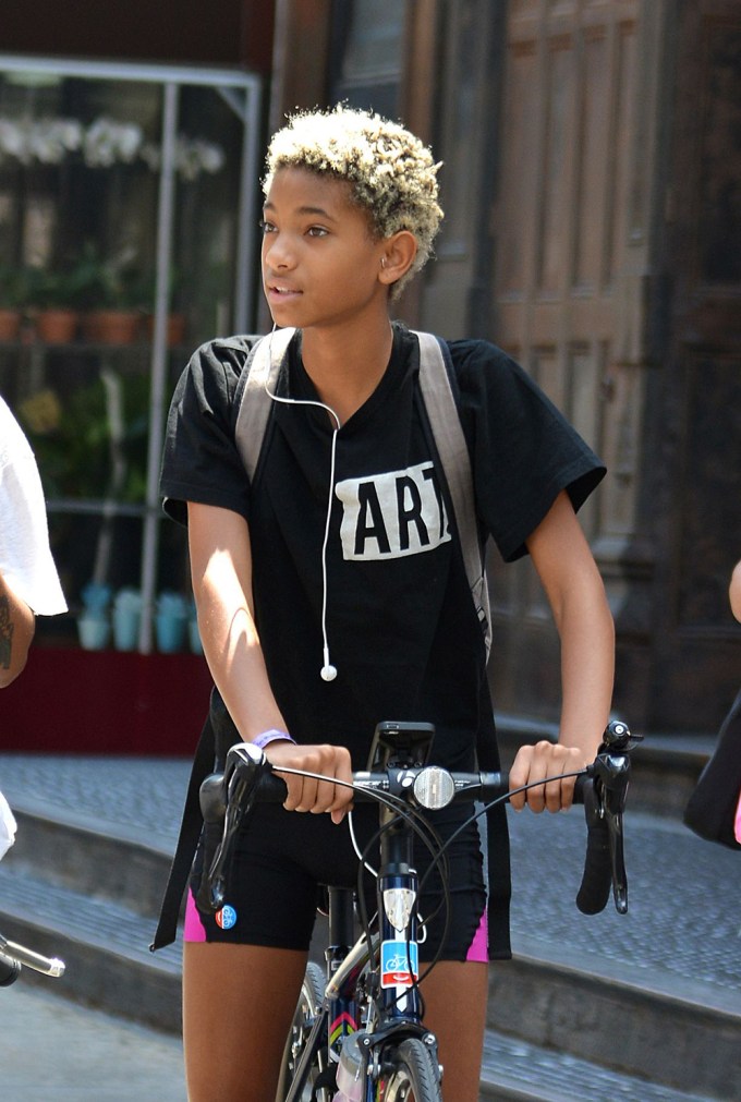 Willow Smith’s Hairstyles: See Photos of Her Hair Evolution