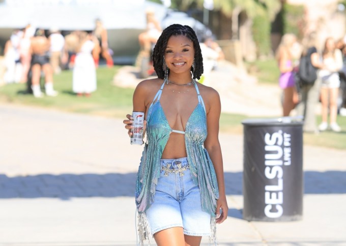 Coachella 2024: Celebrity Outfits at the Festival