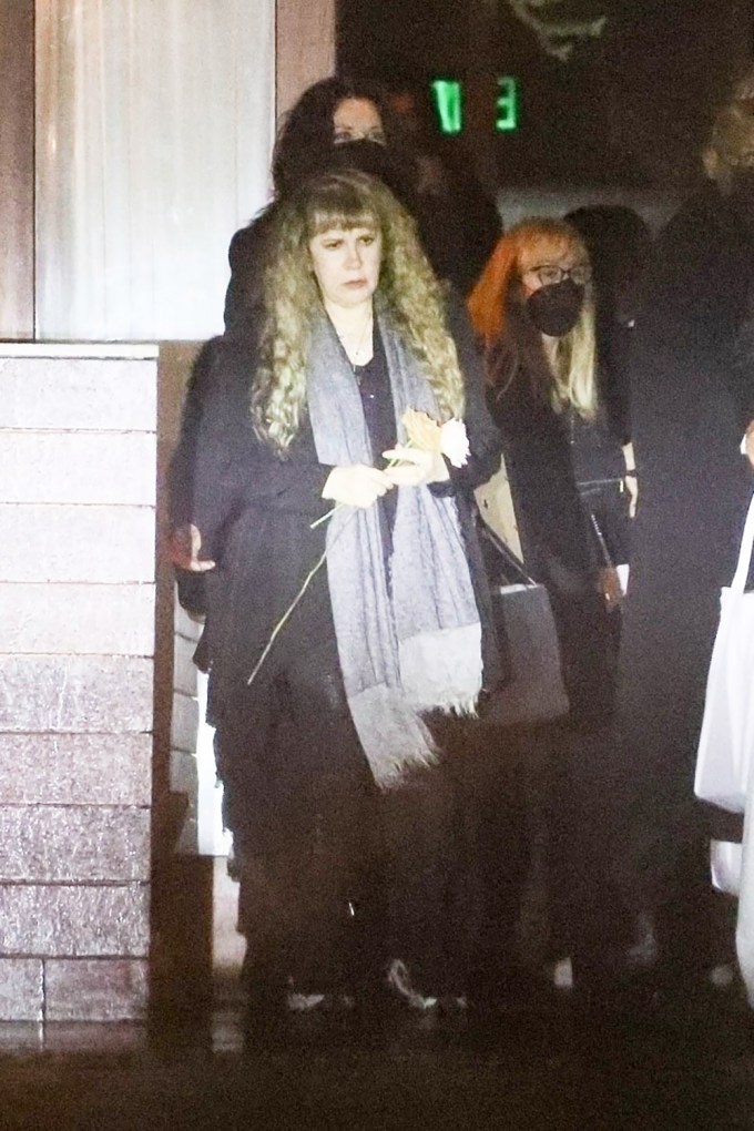 Stevie Nicks Young: Photos