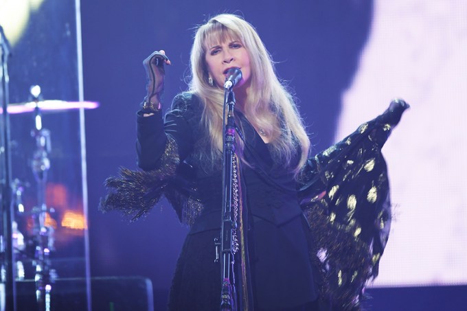 Stevie Nicks Young: Photos