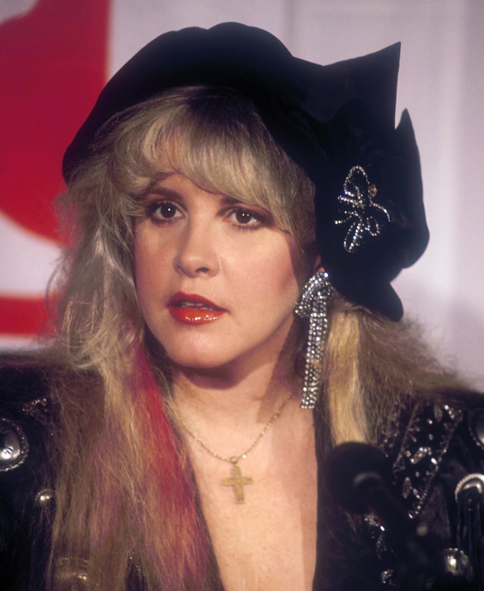 Stevie Nicks Young: Photos