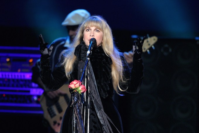 Stevie Nicks Young: Photos