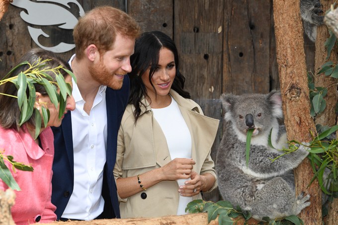 Prince Harry Through the Years: Photos of the Royal Then and Now