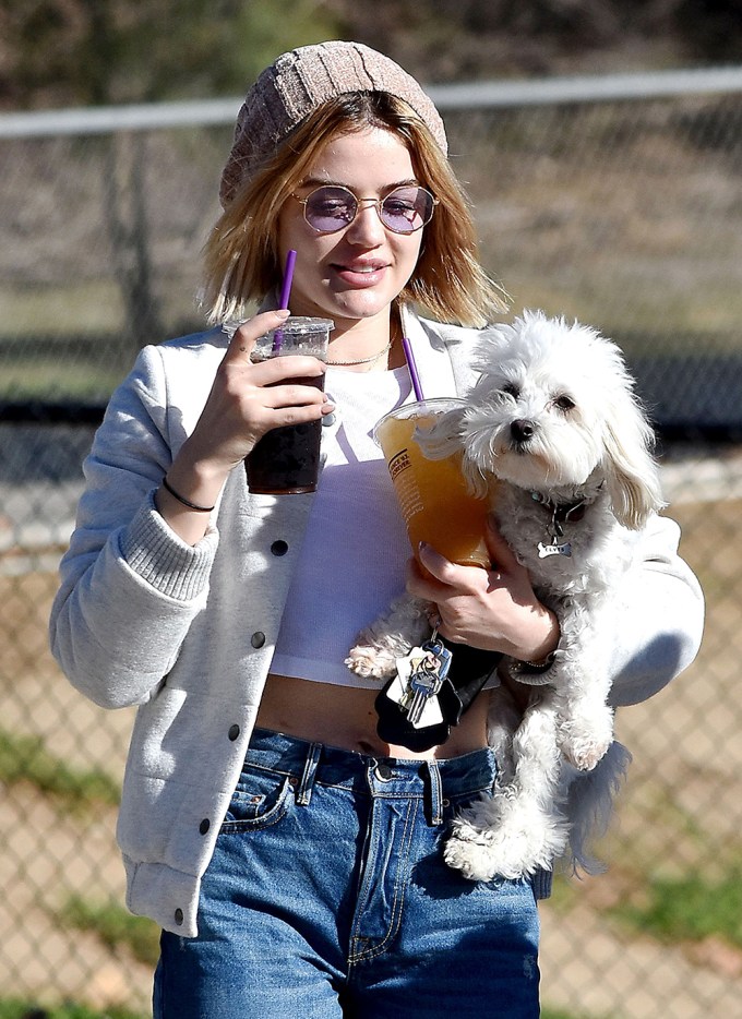 Stars With Dogs: Photos of Celebrities With Their Pups