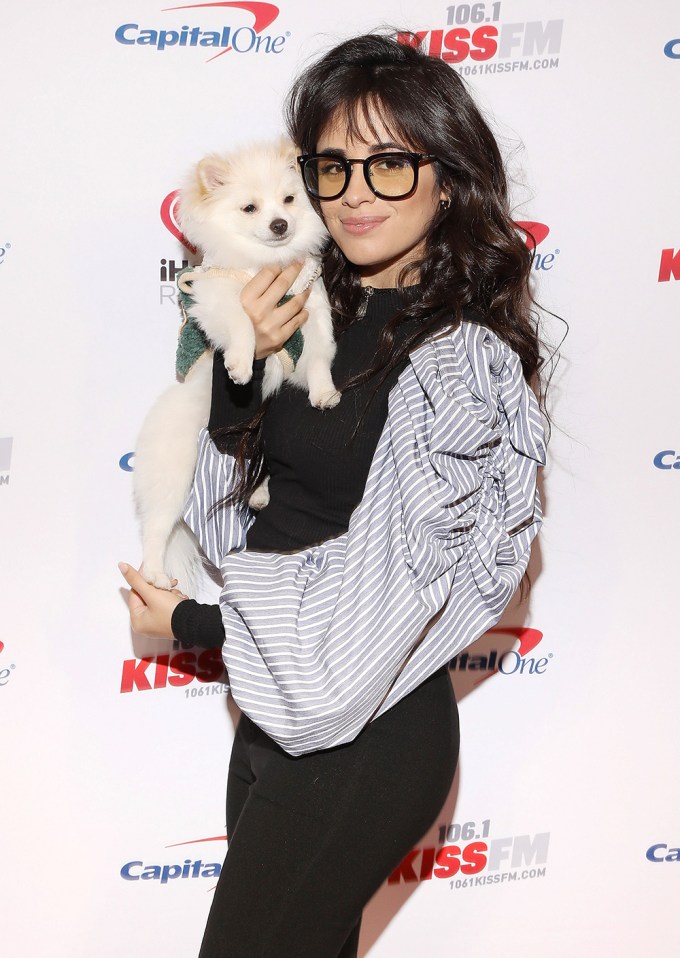 Stars With Dogs: Photos of Celebrities With Their Pups