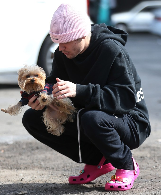 Stars With Dogs: Photos of Celebrities With Their Pups