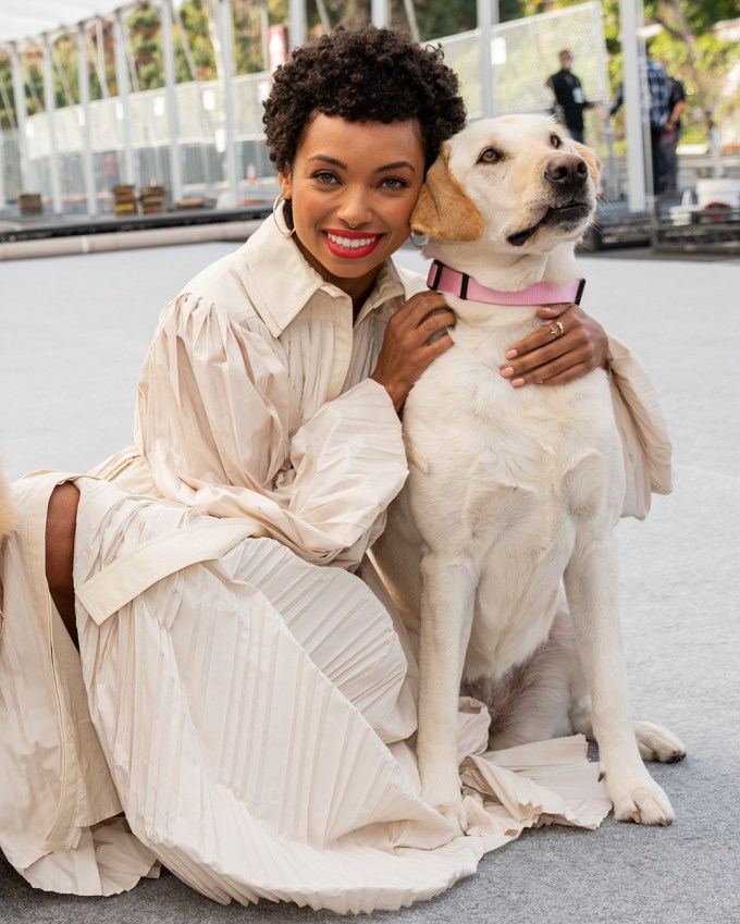 Stars With Dogs: Photos of Celebrities With Their Pups