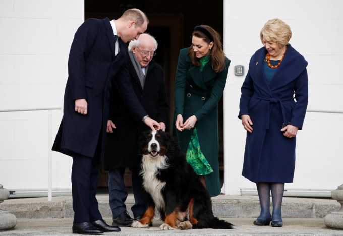 Stars With Dogs: Photos of Celebrities With Their Pups