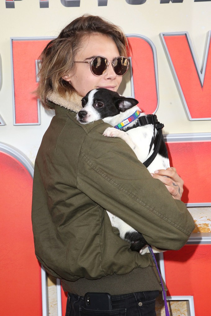 Stars With Dogs: Photos of Celebrities With Their Pups