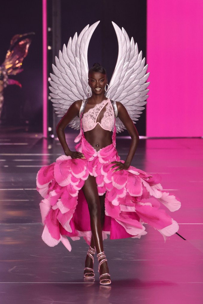 Victoria’s Secret Fashion Show 2024 Pics: Celebrity Photos