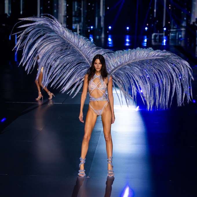 Victoria’s Secret Fashion Show 2024 Pics: Celebrity Photos