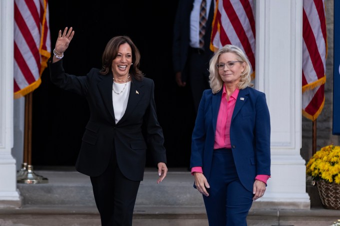 Republicans Who Voted for Kamala Harris in the 2024 Election: Photos