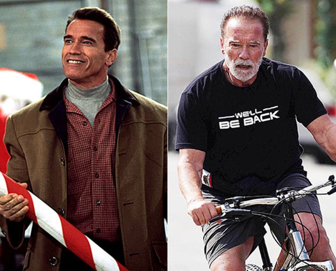 Celebs You Forgot Were In Classic Christmas Movies: Pics