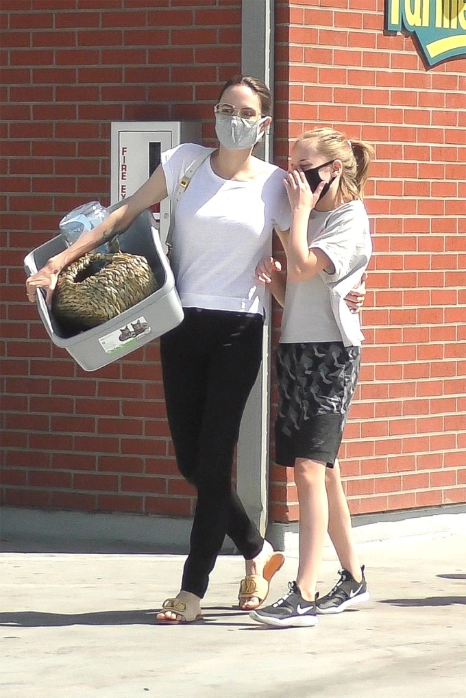 Angelina Jolie & Her Kids: Photos of Them on Fun Outings