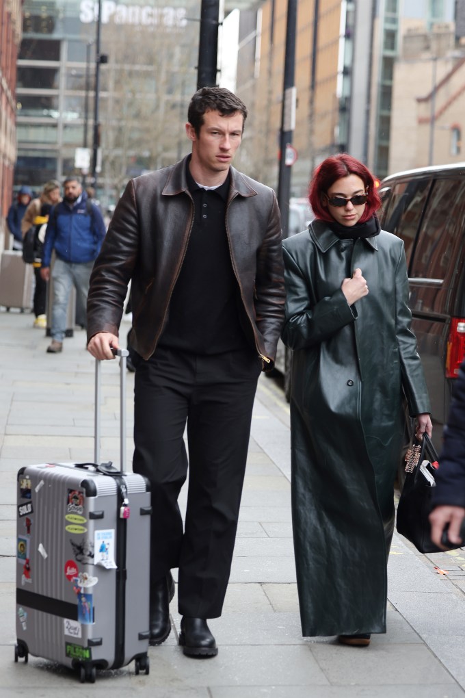 Dua Lipa & Callum Turner: Pics of the Couple